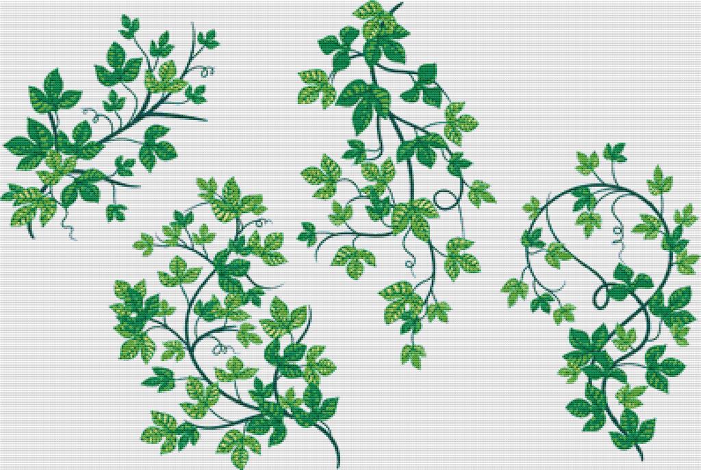 Set Of Ivy - X Squared Cross Stitch