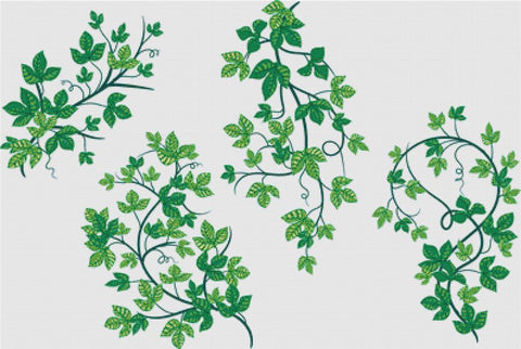 Set Of Ivy - X Squared Cross Stitch