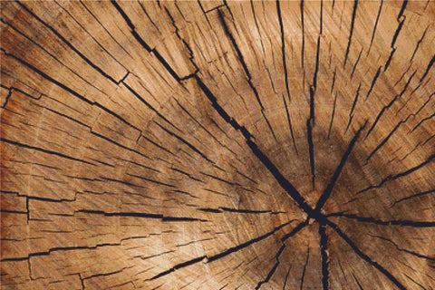 Cut Log - X Squared Cross Stitch
