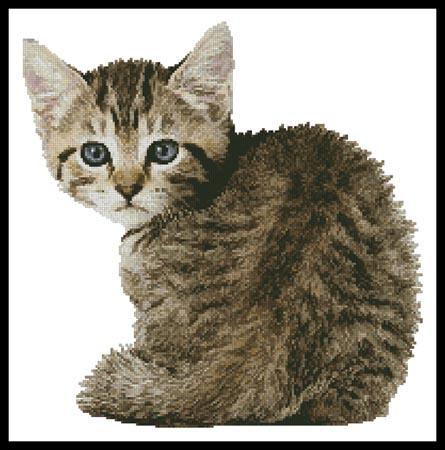 Timid Kitten - Artecy Cross Stitch