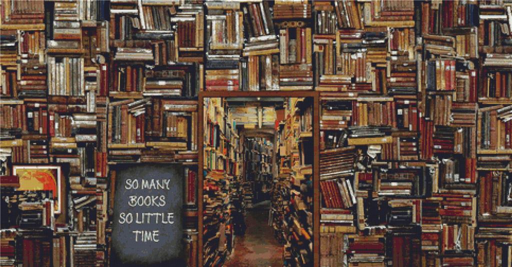 So Many Books - X Squared Cross Stitch
