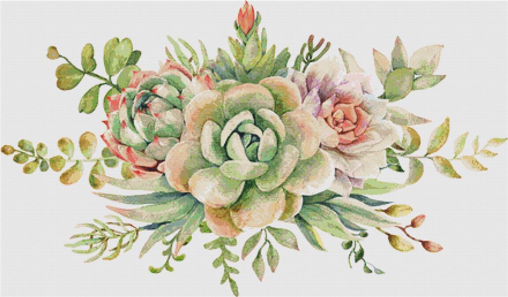 Arrangement Of Succulents - X Squared Cross Stitch