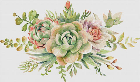 Arrangement Of Succulents - X Squared Cross Stitch