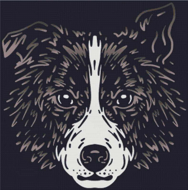 Border Collie Face - X Squared Cross Stitch