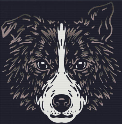 Border Collie Face - X Squared Cross Stitch