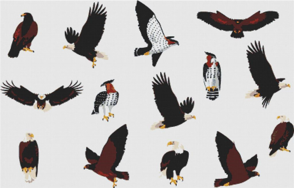 Set Of Birds Of Prey - X Squared Cross Stitch