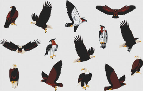 Set Of Birds Of Prey - X Squared Cross Stitch