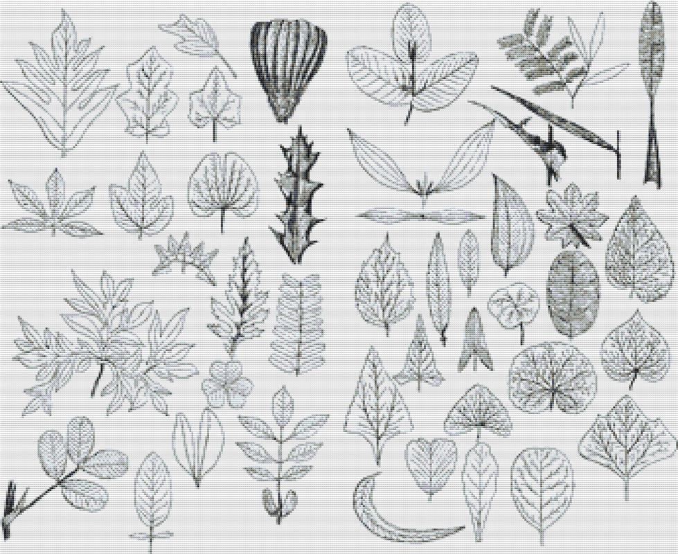 Set Of Vintage Leaves - X Squared Cross Stitch