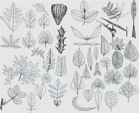 Set Of Vintage Leaves - X Squared Cross Stitch
