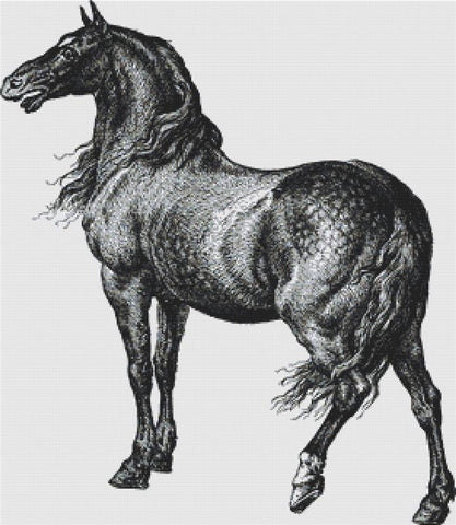 Antique Horse - X Squared Cross Stitch