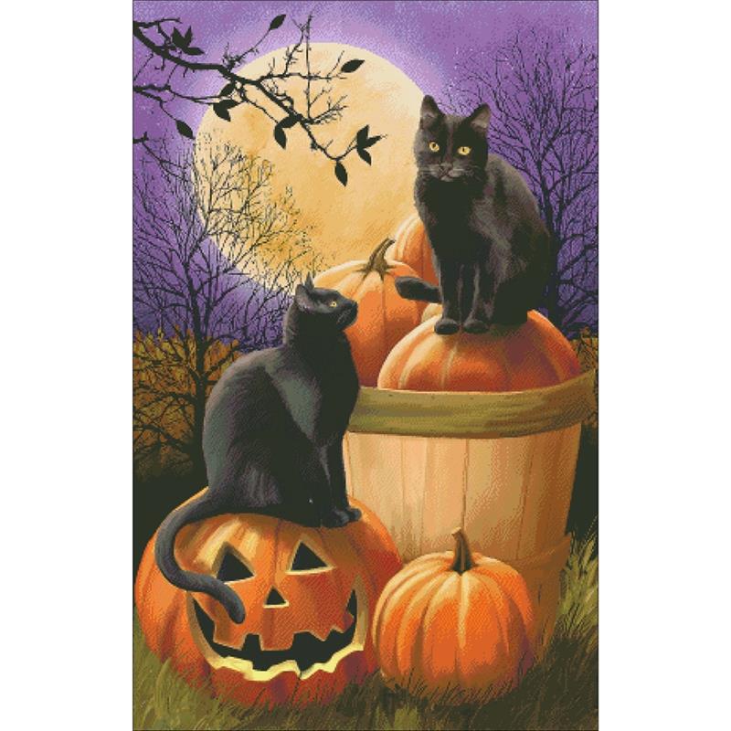 Midnight Rendezvous - Charting Creations