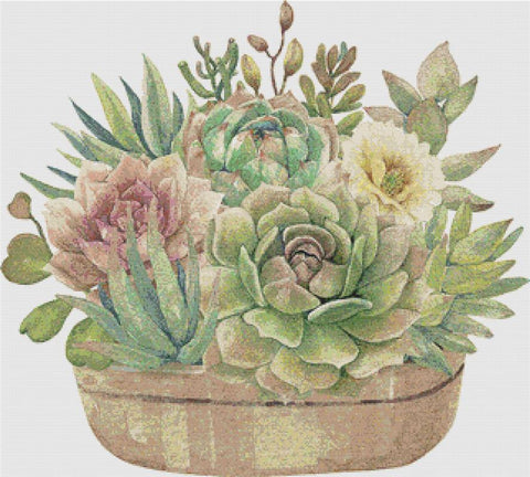 Arrangement Of Succulents III - X Squared Cross Stitch