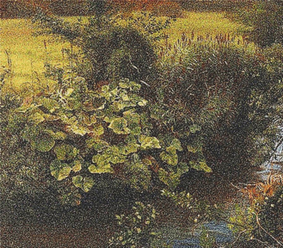 Brook - X Squared Cross Stitch