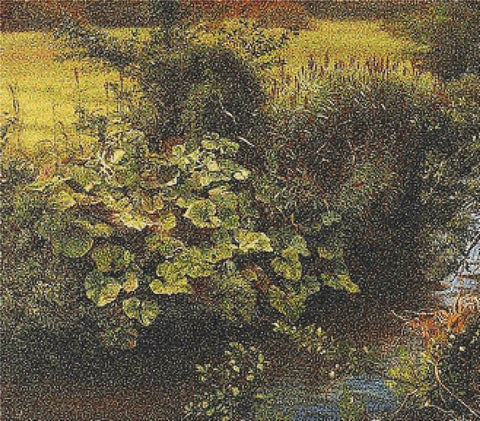 Brook - X Squared Cross Stitch