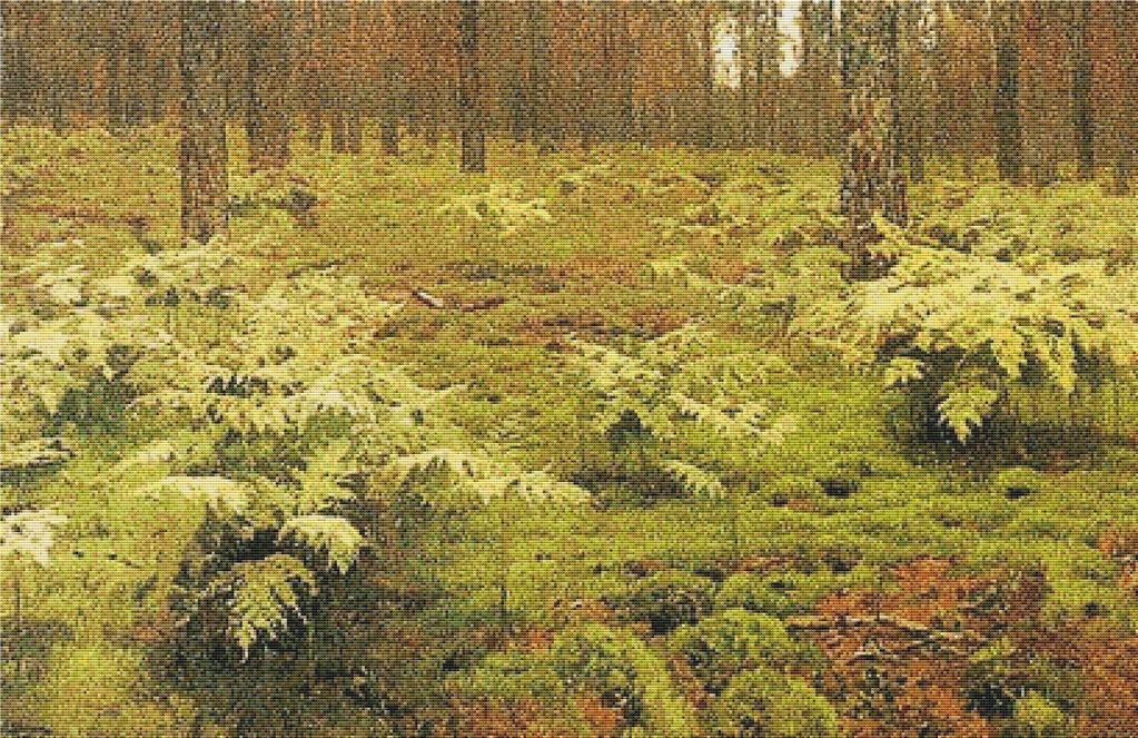 Ferns In A Forest - X Squared Cross Stitch