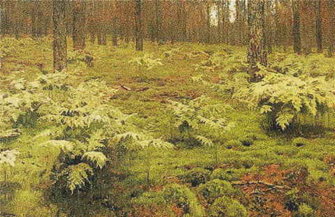 Ferns In A Forest - X Squared Cross Stitch