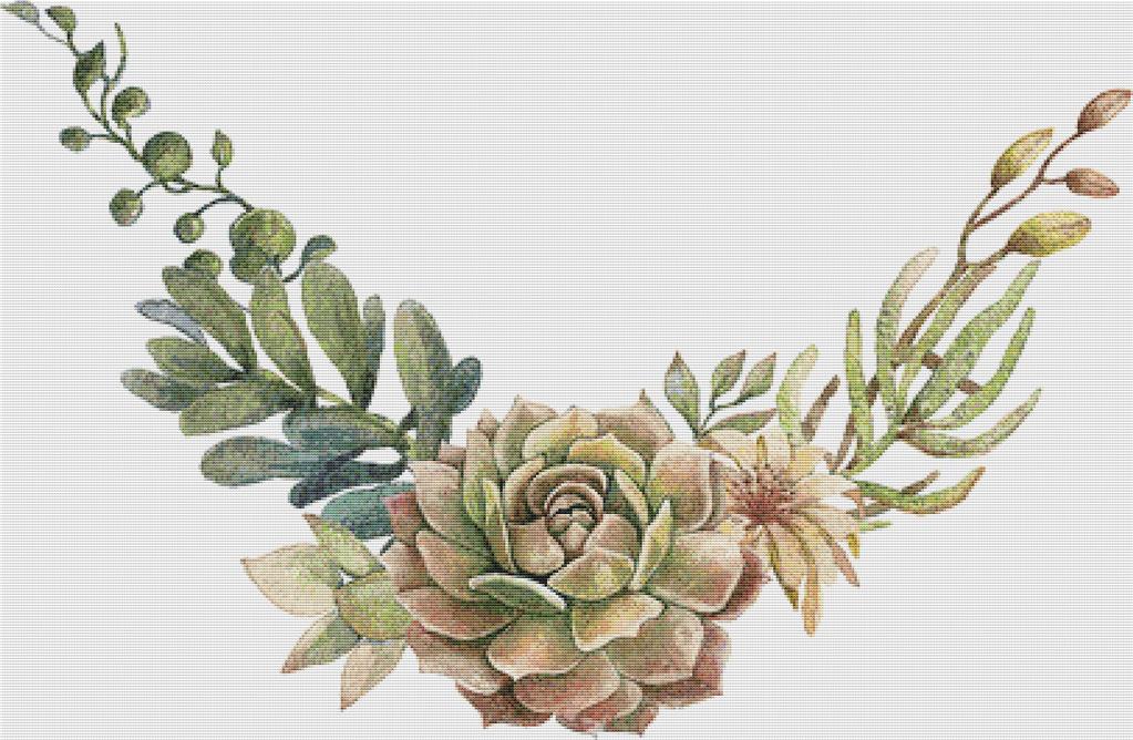 Arrangement Of Succulents And Flowers - X Squared Cross Stitch