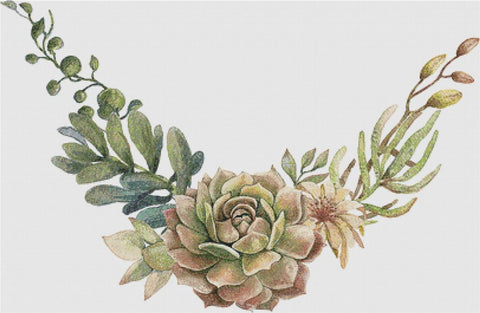 Arrangement Of Succulents And Flowers - X Squared Cross Stitch