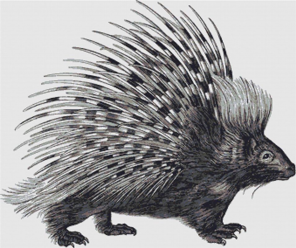 Porcupine - X Squared Cross Stitch