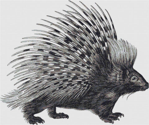 Porcupine - X Squared Cross Stitch