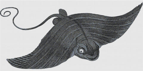 Manta Ray - X Squared Cross Stitch