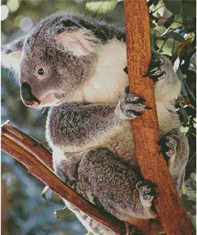 Koala Photo - Artecy Cross Stitch