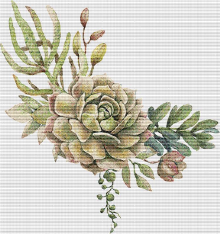 Arrangement Of Succulents VII - X Squared Cross Stitch