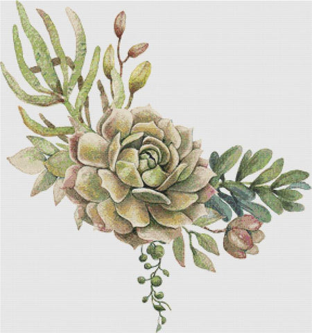 Arrangement Of Succulents VII - X Squared Cross Stitch