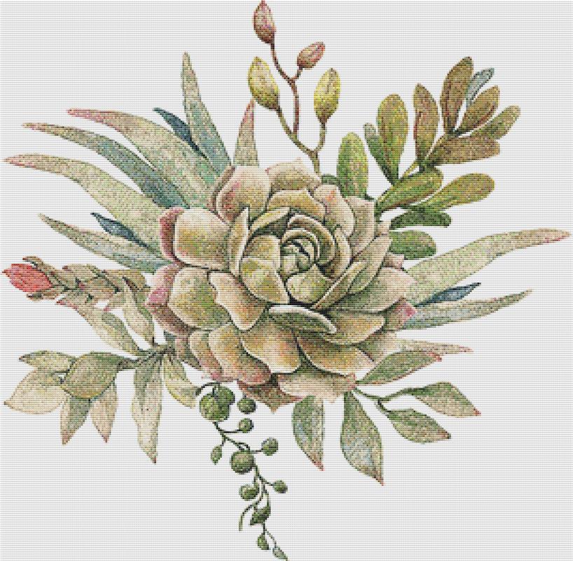 Arrangement Of Succulents VIII - X Squared Cross Stitch