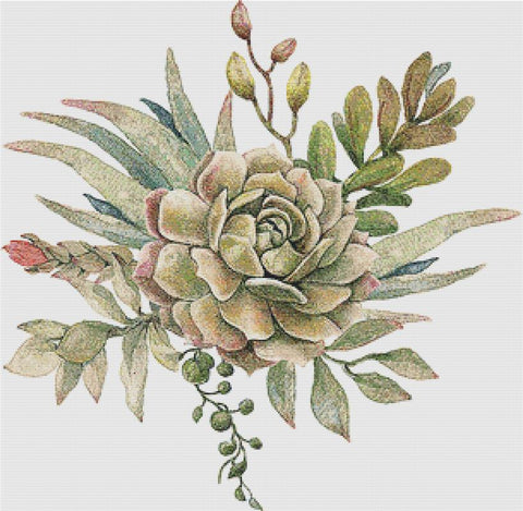 Arrangement Of Succulents VIII - X Squared Cross Stitch