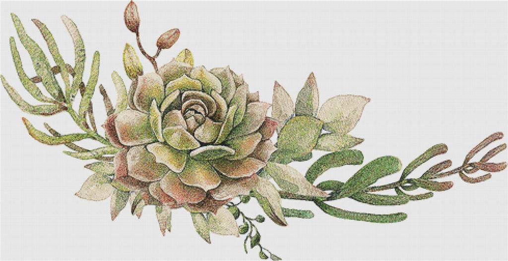Arrangement Of Succulents IX - X Squared Cross Stitch