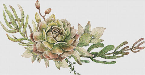 Arrangement Of Succulents IX - X Squared Cross Stitch