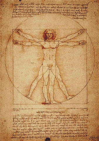 The Vitruvian Man - X Squared Cross Stitch