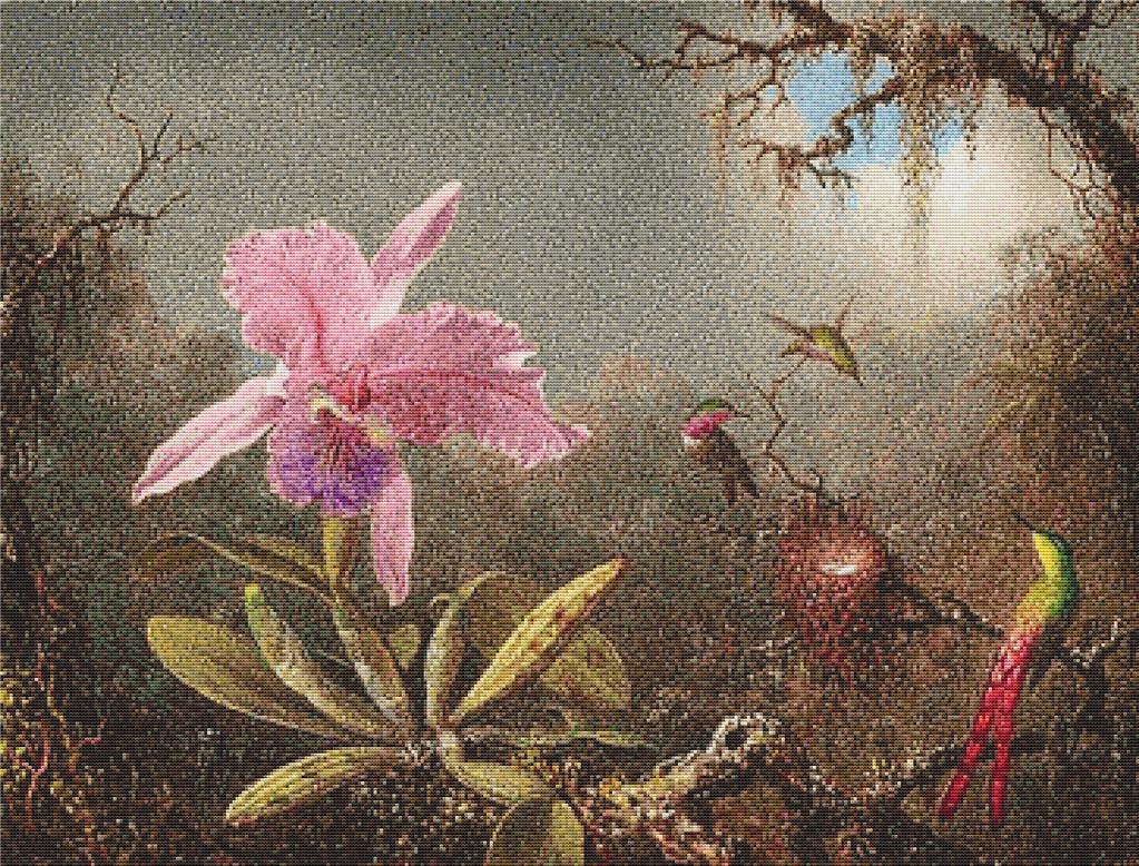 Cattleya Orchid And Three Hummingbirds - X Squared Cross Stitch