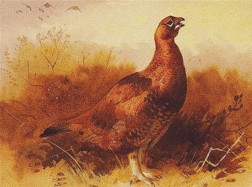 Grouse - X Squared Cross Stitch