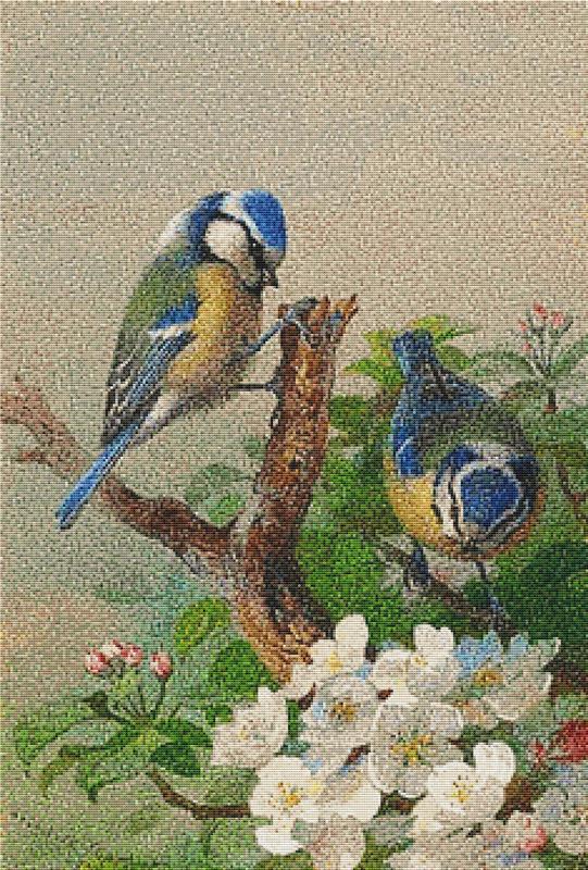 Two Blue Tits On A Tree Branch - X Squared Cross Stitch