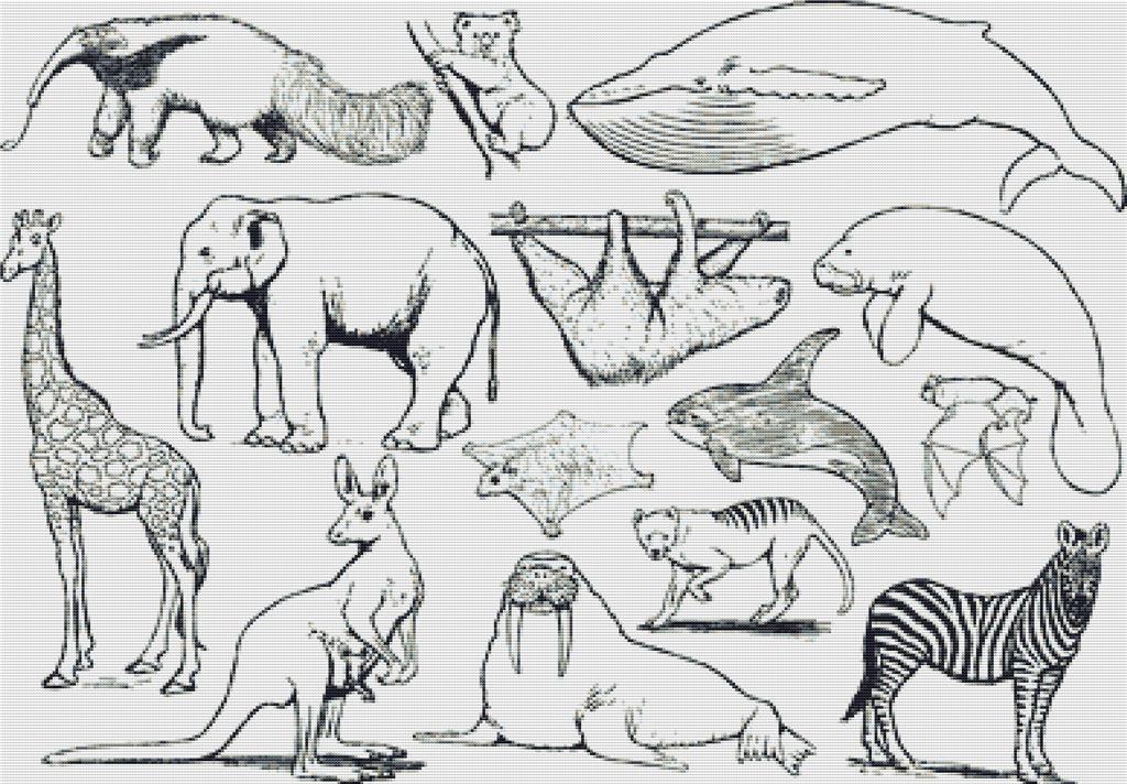 Set Of Exotic Animals - X Squared Cross Stitch