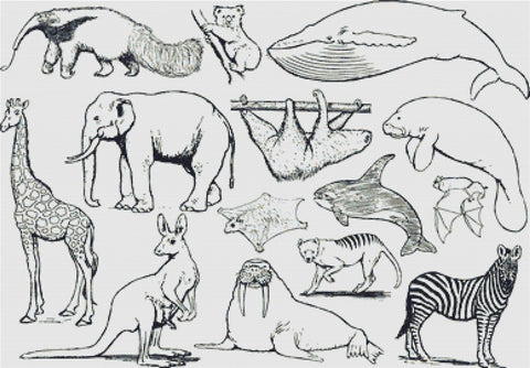 Set Of Exotic Animals - X Squared Cross Stitch