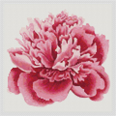 Peony - Art of Stitch, The