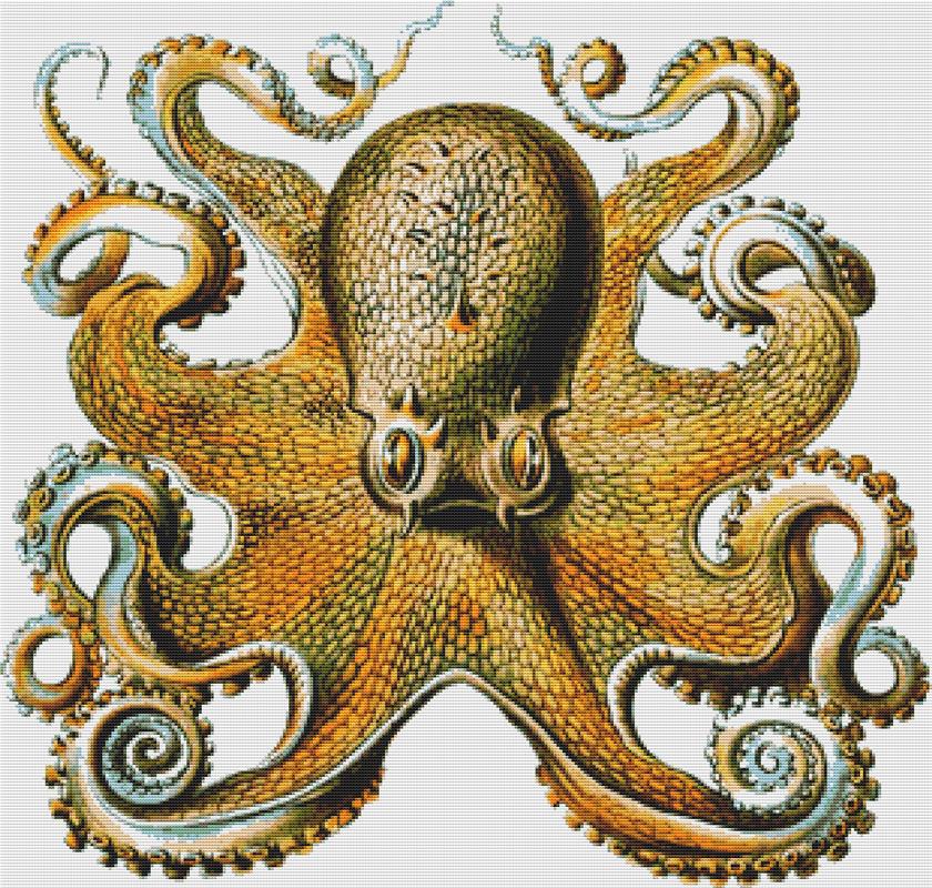 Octopus - X Squared Cross Stitch