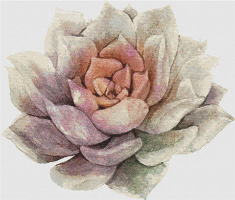 Large Single Succulent I - X Squared Cross Stitch