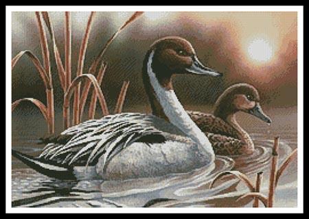 Pintails - Artecy Cross Stitch