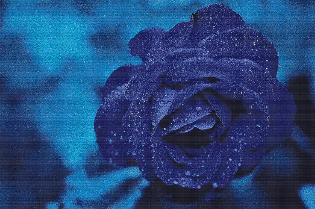 Blue Rose - X Squared Cross Stitch