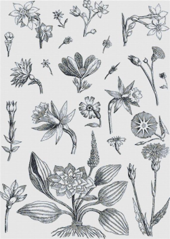 Decorative Floral Plants - X Squared Cross Stitch