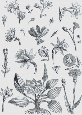 Decorative Floral Plants - X Squared Cross Stitch