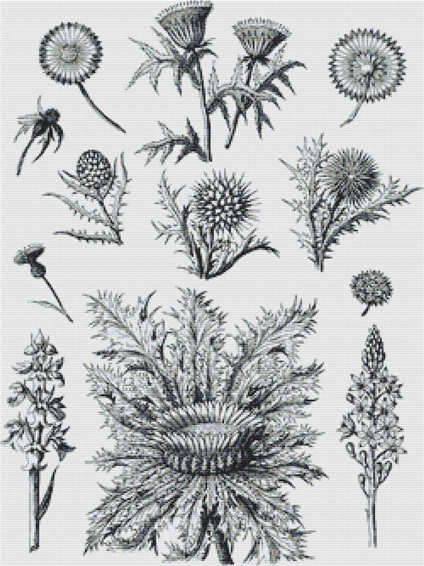 Decorative Floral Plants I - X Squared Cross Stitch