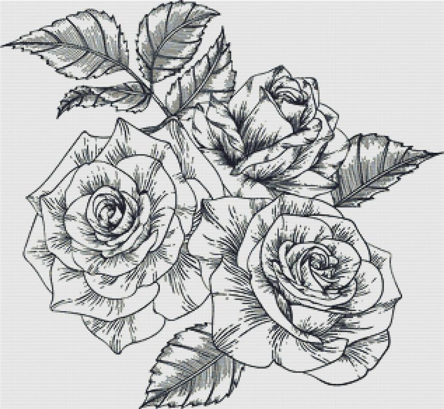 Black And White Roses - X Squared Cross Stitch