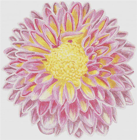 Watercolour Dahlia - X Squared Cross Stitch