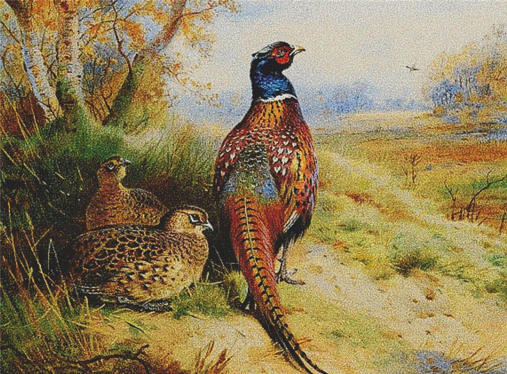 Cock And Hen Pheasant At The Edge Of A Wood - X Squared Cross Stitch