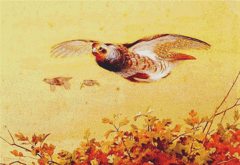 English Partridge In Flight - X Squared Cross Stitch